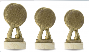 2798 Trofeo Ping pong
