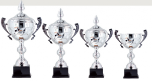 0307 Copa deporte estandar