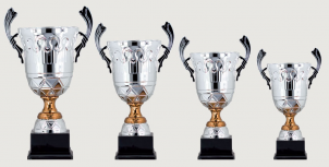 0311 Copa deporte estandar